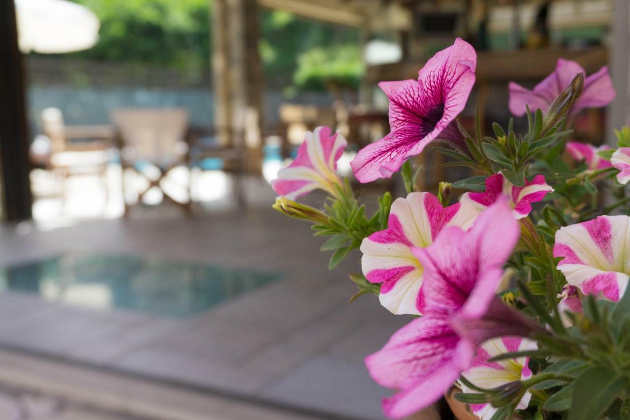 Venus Apartments Sidari  Ngoại thất bức ảnh